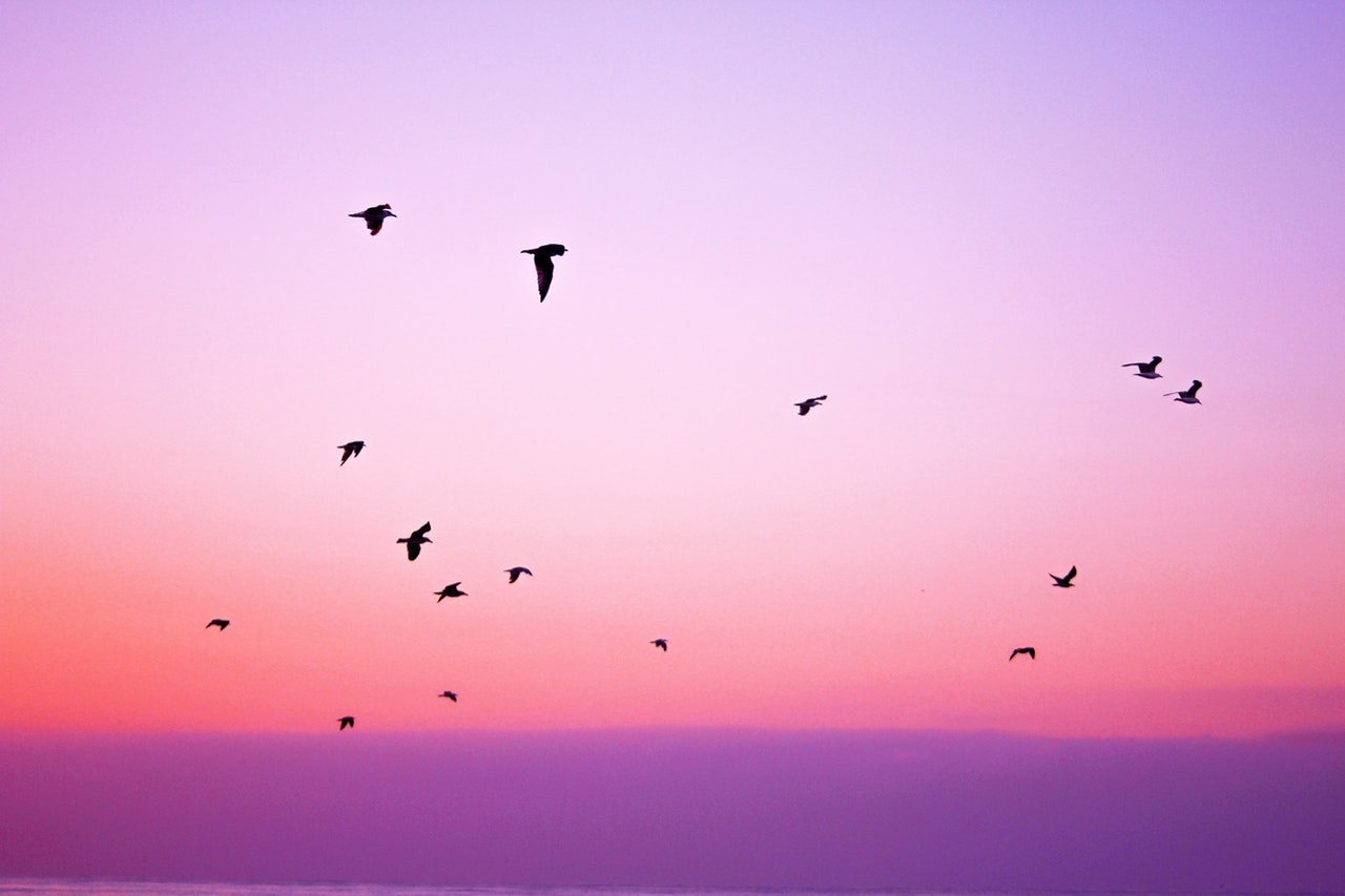 7 ways to use Twitter during your #crowdfunding campaign
